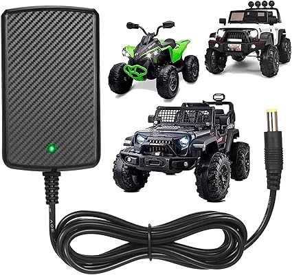 24V Charger for Kids Ride On Car Toys 24 Volt Battery Charger Wrangler SUV Kid Tra